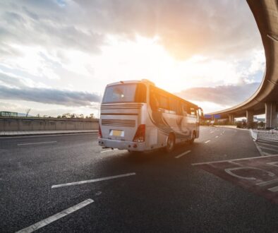 white coach